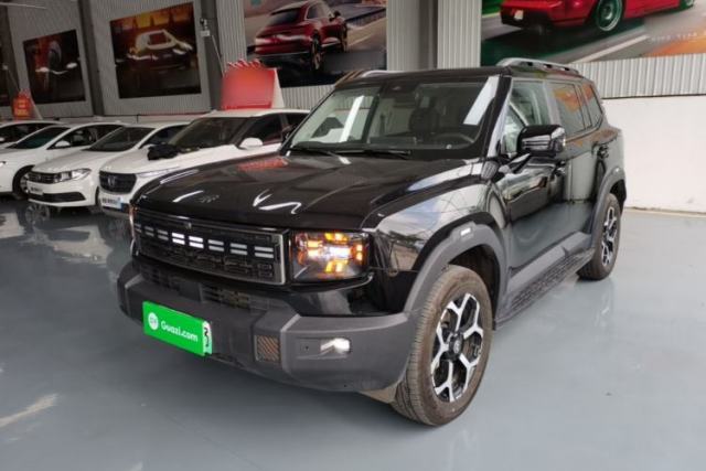 Used JETOUR Shanhai T1 2025 150 km to the Lake