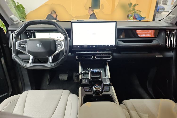 Used JETOUR Shanhai T1 2025 150 km to the Lake Interior 2