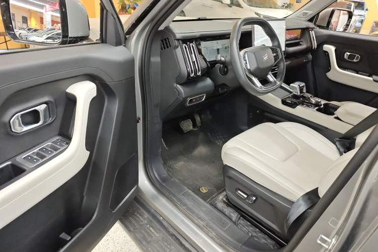 Used JETOUR Shanhai T1 2025 150 km to the Lake Interior 3