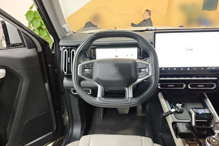 Used JETOUR Shanhai T1 2025 150 km to the Lake Steering Wheel
