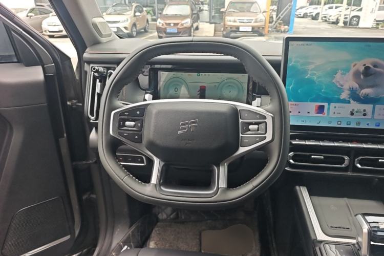 Used JETOUR Shanhai T1 2025 150 km Heading South Steering Wheel