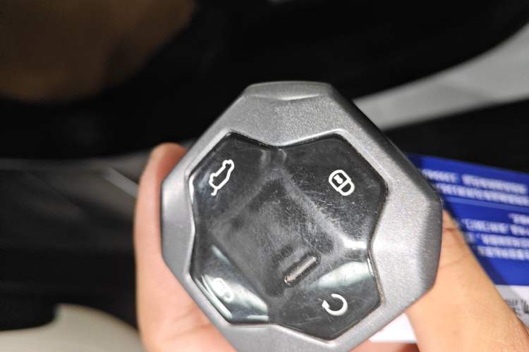 Used JETOUR Shanhai T1 2025 150 km to the Lake Interior 1