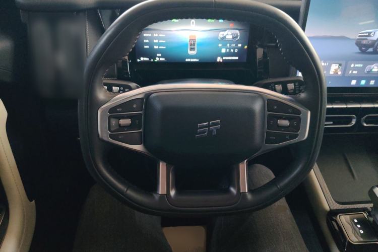 Used JETOUR Shanhai T1 2025 150 km to the Lake Steering Wheel