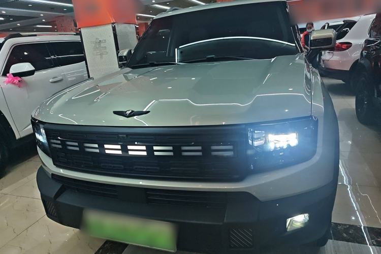 Used JETOUR Shanhai T1 2025 150 km to the Lake Front