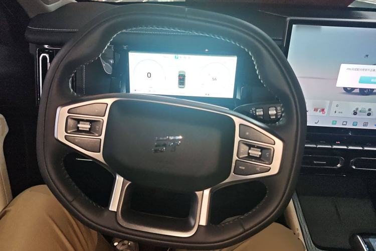 Used JETOUR Shanhai T1 2025 150 km to the Lake Steering Wheel