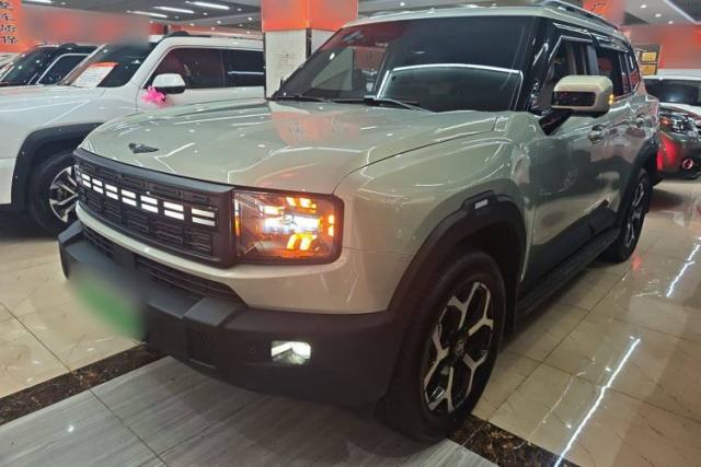 Used JETOUR Shanhai T1 2025 150 km to the Lake