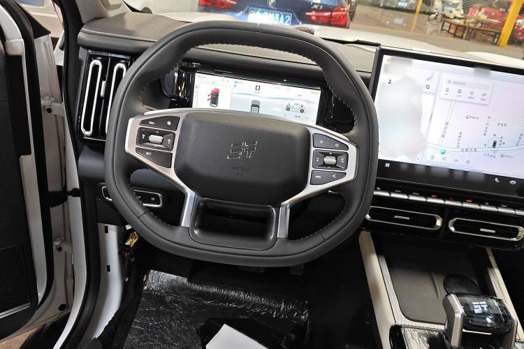 Used JETOUR Shanhai T1 2025 150 km to the Lake Steering Wheel