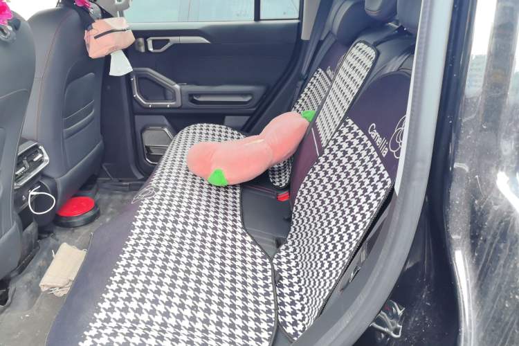 Used JETOUR Shanhai Traveler C-DM 2024 C-DM 129KM Linye Edition Left Rear Seat
