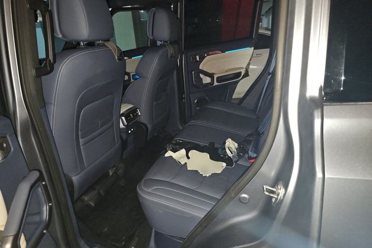 Used JETOUR Shanhai Traveler C-DM 2024 C-DM 208KM Mountain & Wilderness Edition Left Rear Seat
