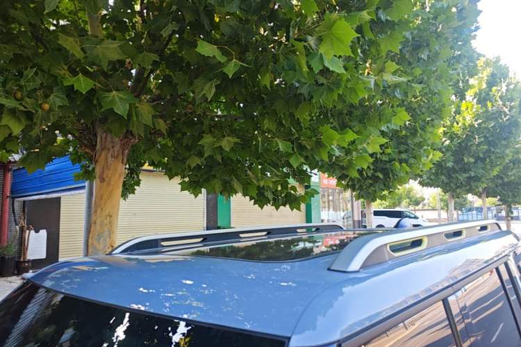 Used JETOUR Shanhai Traveler C-DM 2024 C-DM 208KM Mountain & Wilderness Edition Roof