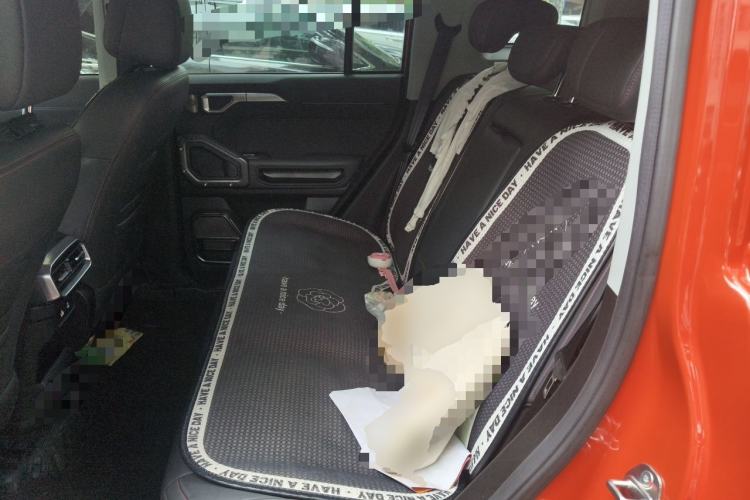 Used JETOUR Shanhai Traveler C-DM 2024 C-DM 129KM Linye Edition Left Rear Seat