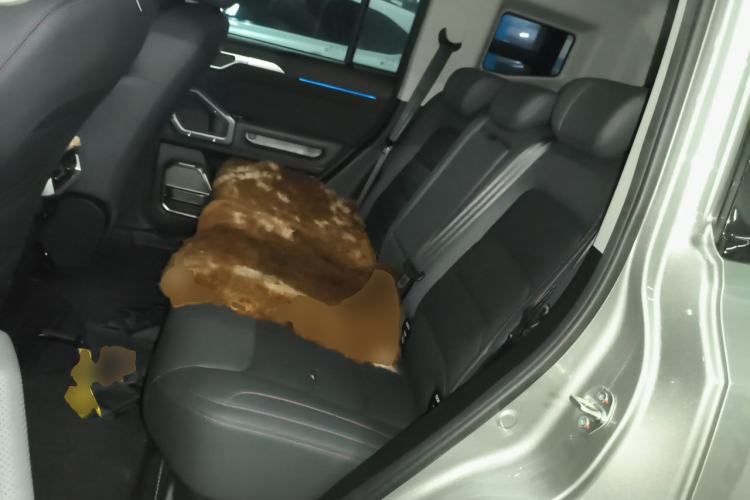 Used JETOUR Shanhai Traveler C-DM 2024 C-DM 129KM Linye Edition Left Rear Seat