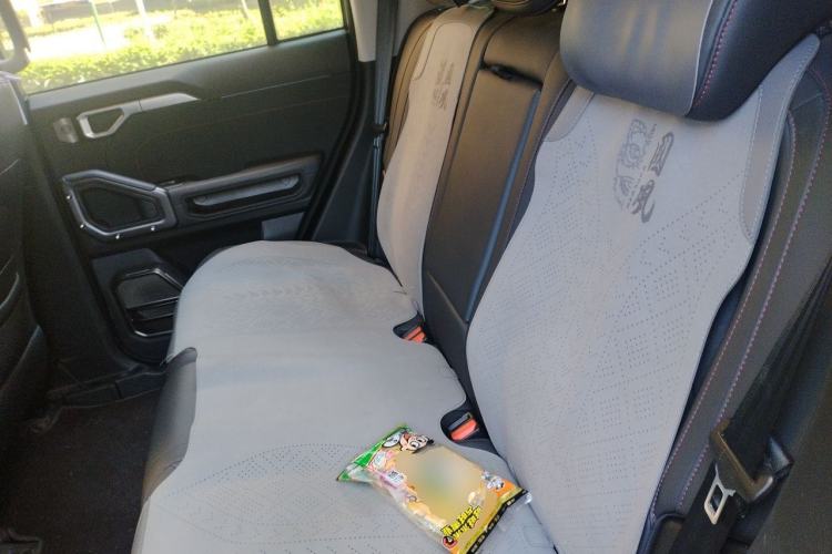 Used JETOUR Traveler 2023 2.0T Four-Wheel Drive Conqueror Left Rear Seat