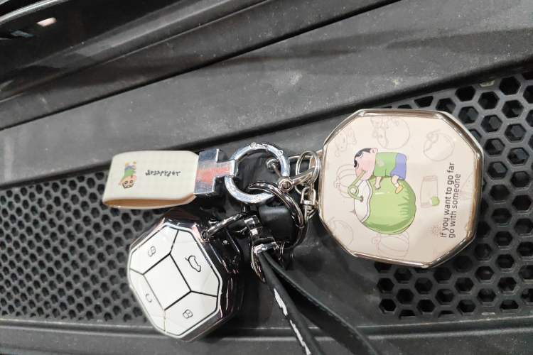 Used JETOUR Traveler 2023 2.0T All-Wheel-Drive CrossPRO Vehicle Key