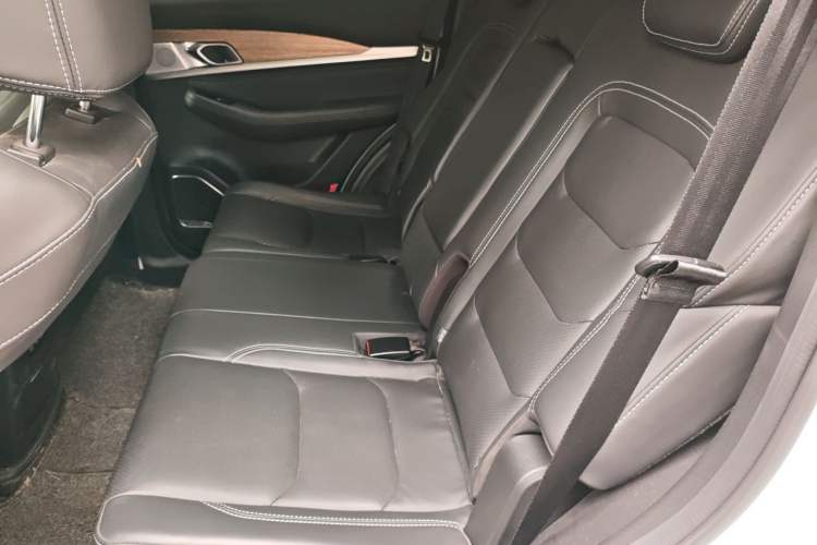 Used JETOUR X70 2020 1.5T Manual Luxury Edition 6 Seats Left Rear Seat