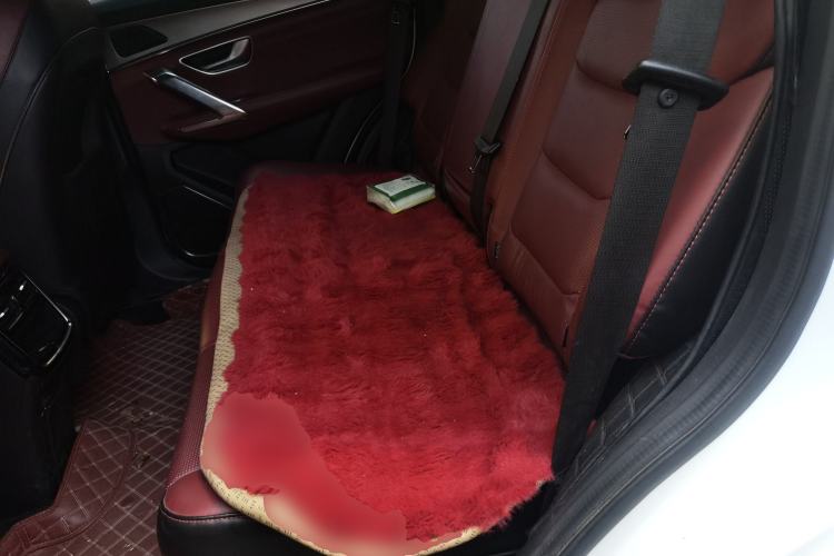 Used JETOUR X70 PLUS 2021 Zhuge 1.6T DCT Wuhou 5-Seater Left Rear Seat