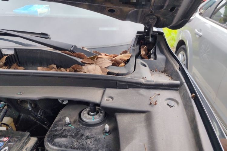 Used JETOUR X70 PLUS 2023 1.5T DCT Brave PLUS 5-Seater Engine Bay Left