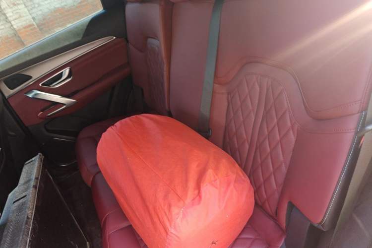 Used JETOUR X70 PLUS 2024 Champion Edition 1.5T DCT Champion MAX 7-Seater Left Rear Seat