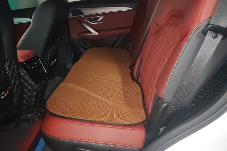 Used JETOUR X70 PLUS 2024 Champion Edition 1.5T DCT Champion MAX 5-Seater Left Rear Seat