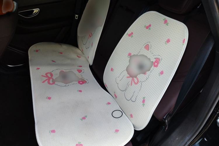 Used JETOUR X90 2023 Zilong 2.0T DCT Changsheng Edition 7-Seater Left Rear Seat