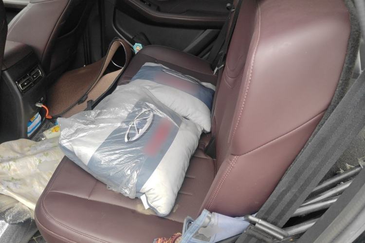 Used JETOUR X90 PLUS 2024 1.6TD DCT Villa 5-Seater Left Rear Seat