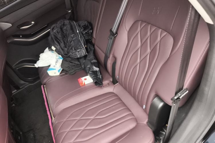 Used JETOUR X90 PRO 2024 2.0T DCT Luxury Edition 5 Seats Left Rear Seat
