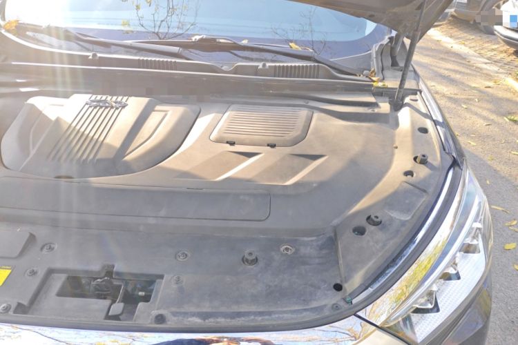 Used JETOUR X95 2020 1.6T DCT Exploration Pro Edition 6-seater Engine Bay Left
