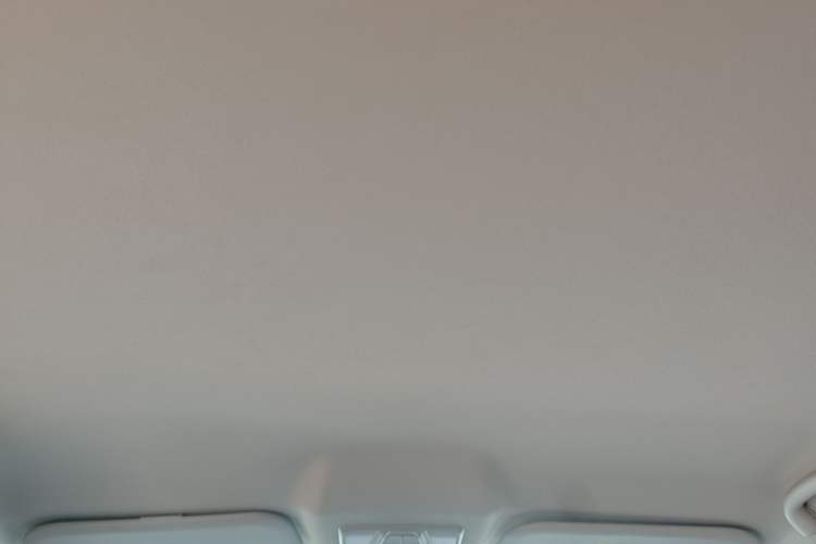 Used JETOUR X95 2020 1.5T Manual Free Edition 5-Seater Headliner