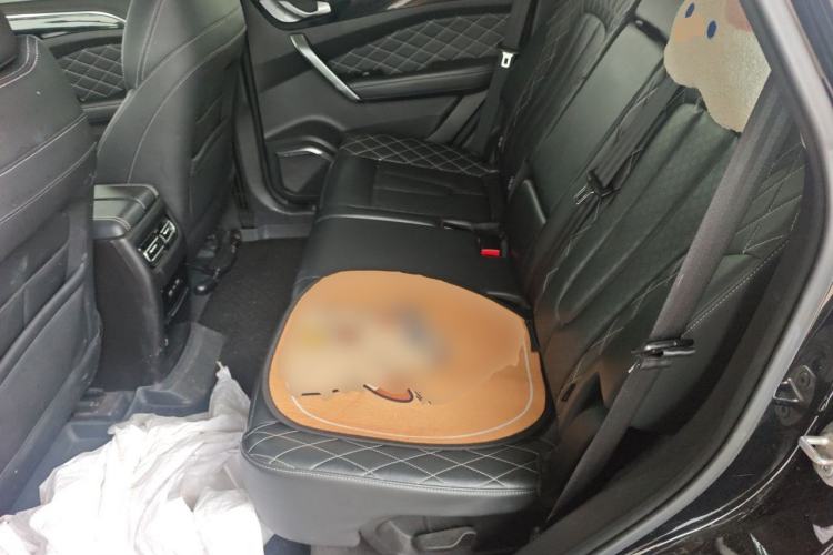 Used JETOUR X95 2020 1.6T DCT Exploration Pro Edition 5-seater Left Rear Seat