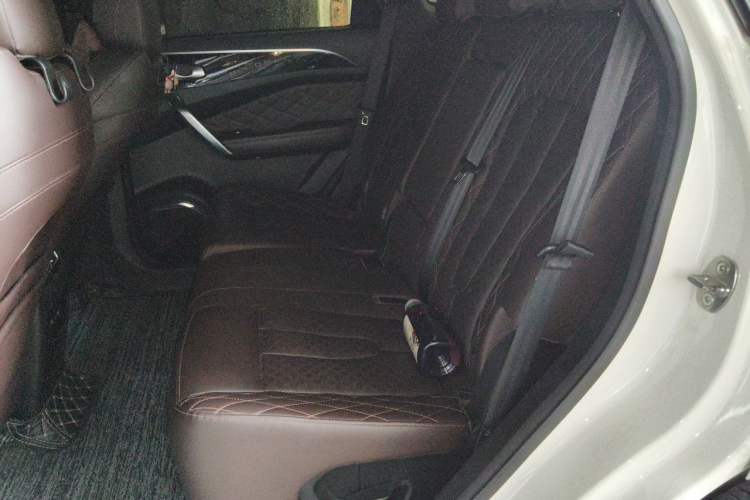 Used JETOUR X95 2020 1.6T DCT Love Pro Edition 7 Seats Left Rear Seat