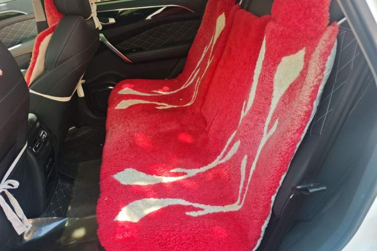 Used JETOUR X95 2020 1.6T DCT Exploration Pro Edition 6-seater Left Rear Seat