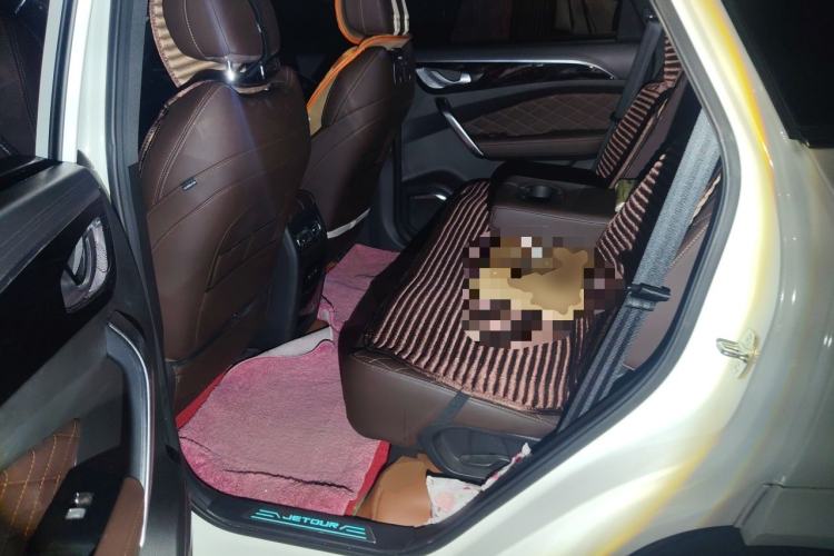Used JETOUR X95 2020 1.6T DCT Love Pro Edition 7 Seats Left Rear Seat