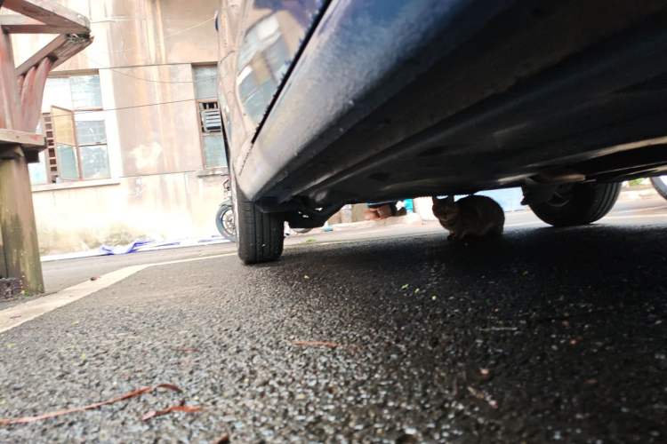 Used Jetta VA3 2024 1.5L Manual Entry-Level Version Chassis Front Right