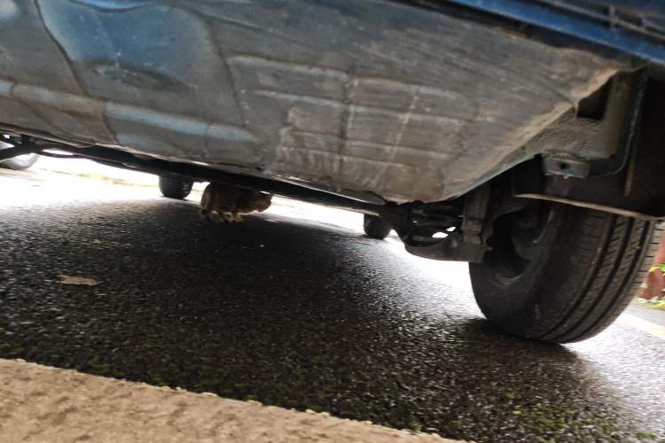 Used Jetta VA3 2024 1.5L Manual Entry-Level Version Chassis Rear
