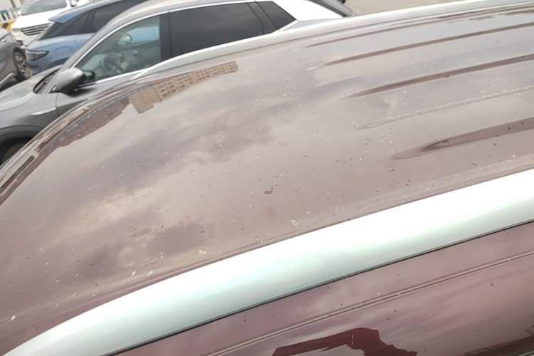 Used Jetta VS5 2019 280TSI Automatic Enjoyment Model Roof