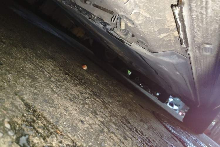 Used Jetta VS5 2019 280TSI Automatic Trend Model Chassis Rear Right