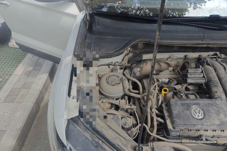 Used Jetta VS5 2019 280TSI Automatic Enjoyment Model Engine Bay Right