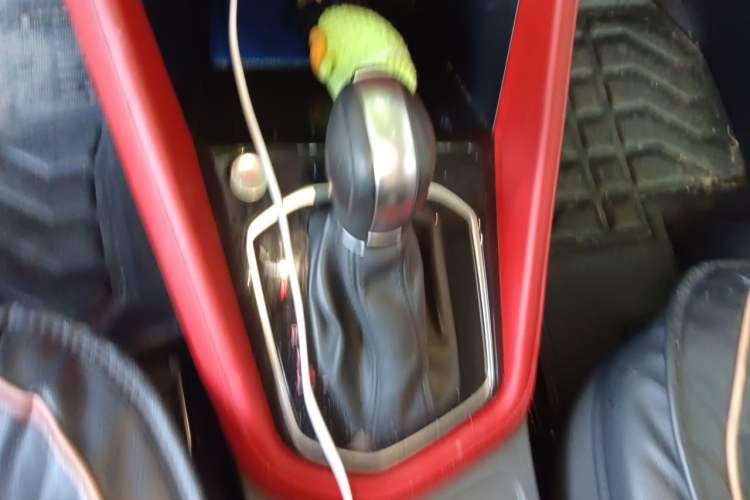 Used Jetta VS5 2019 280TSI Automatic Enjoyment Model Gear Lever