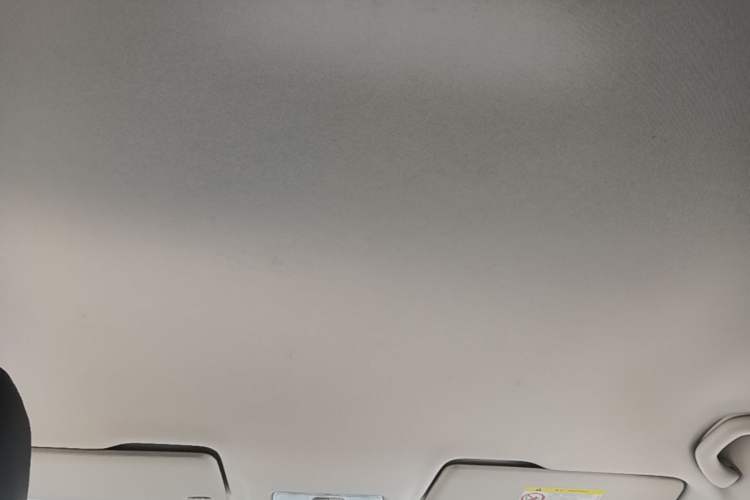 Used Jetta VS5 2019 280TSI Automatic Trend Model Headliner