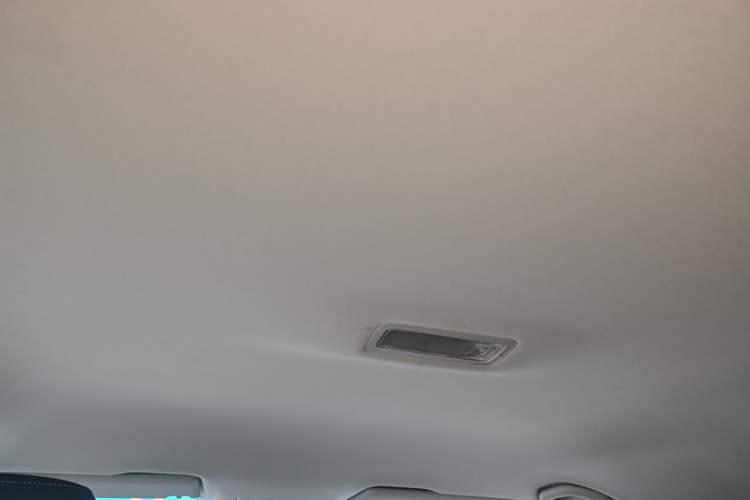 Used Jetta VS5 2020 280TSI Automatic "Thirty and Standing Tall" Edition Headliner