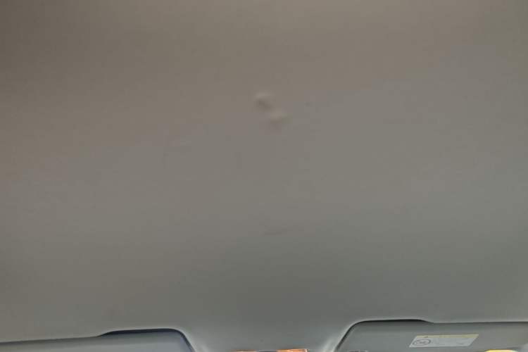 Used Jetta VS5 2020 280TSI Automatic "Thirty and Standing Tall" Edition Headliner