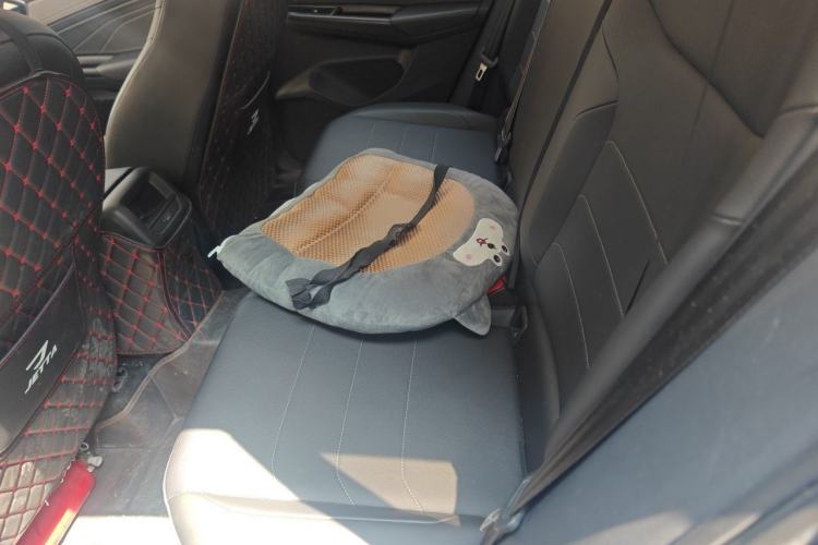 Used Jetta VS5 2022 280TSI Automatic Enjoyment Model Left Rear Seat