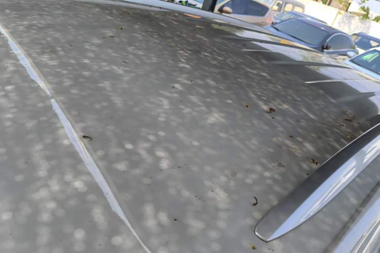 Used Jetta VS5 2023 280TSI Manual Entry-Level Model Roof