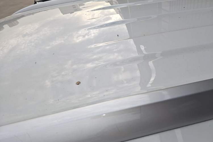 Used Jetta VS5 2023 280TSI Automatic Trend Edition Roof
