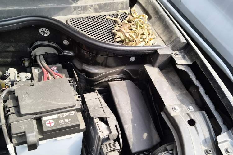 Used Jetta VS5 2024 280TSI Manual Pioneer Edition Engine Bay Left