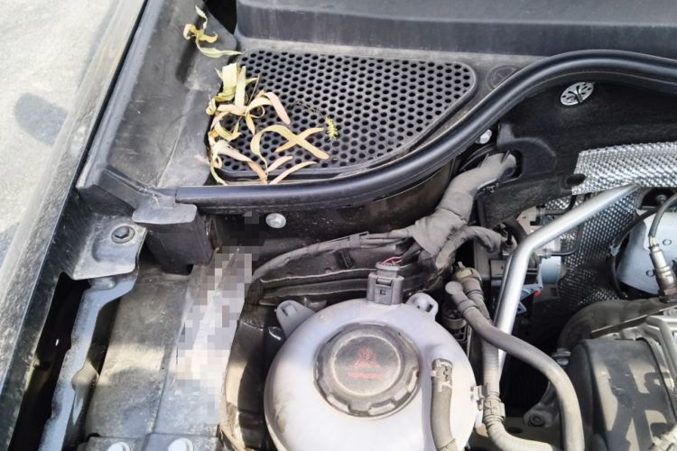 Used Jetta VS5 2024 280TSI Manual Pioneer Edition Engine Bay Right