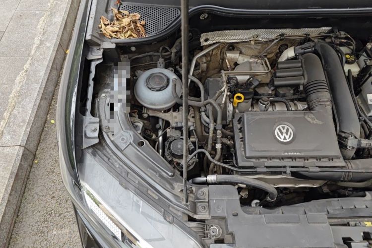 Used Jetta VS7 2022 Black Edition 1.4T Automatic Enjoyment Pro Version Engine Bay Right