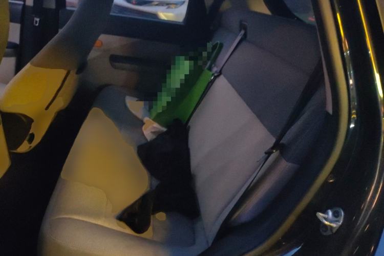 Used Jiangnan U2 2023 400 Pro Edition Left Rear Seat