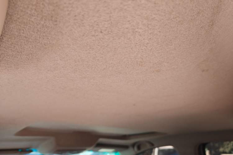 Used Jinbei 750 2018 1.5L E-Motion Sunroof Edition Headliner