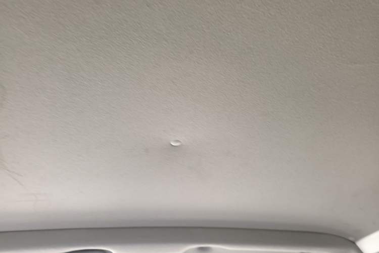 Used Jinbei Express 2017 2.0L Comfort Version V19 Headliner